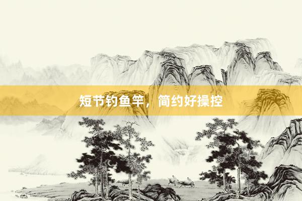 短节钓鱼竿，简约好操控