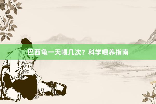 巴西龟一天喂几次？科学喂养指南