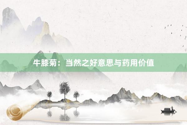 牛膝菊：当然之好意思与药用价值