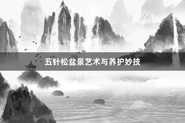 五针松盆景艺术与养护妙技